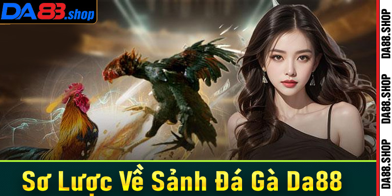 Sơ lược chung về sảnh cá cược đá gà Da88