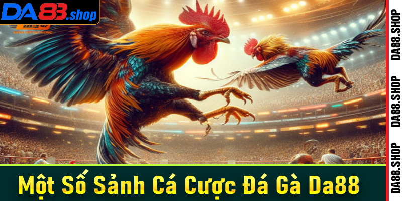 Điểm qua một số sàn đá gà Da88 được ưa chuộng nhất hiện nay