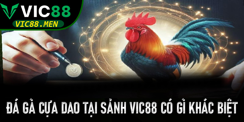 Đá Gà Cựa Dao tại sảnh Vic88 có gì khác biệt so với cựa sắt thông thường?