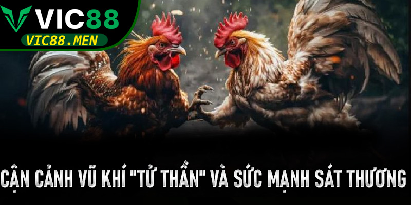 Cận cảnh vũ khí "tử thần" và sức mạnh sát thương trong mỗi cú đá