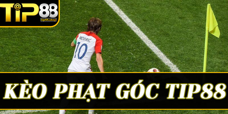 Tại sao nên chọn Tip88 làm bến đỗ cho đam mê soi kèo bóng đá?