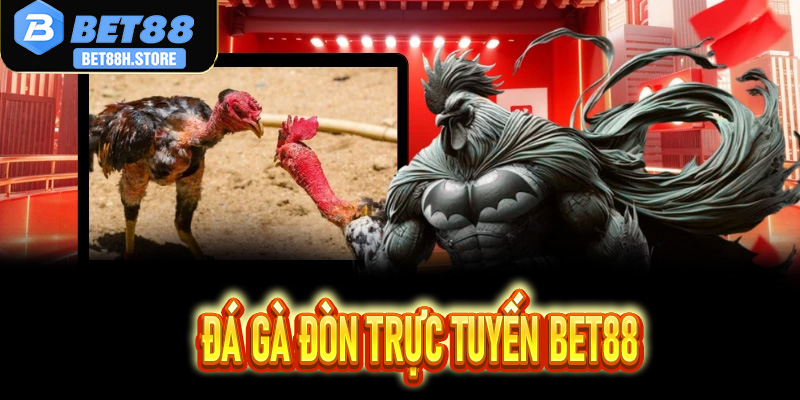 Soi Kèo Đá Gà Đòn Trực Tuyến